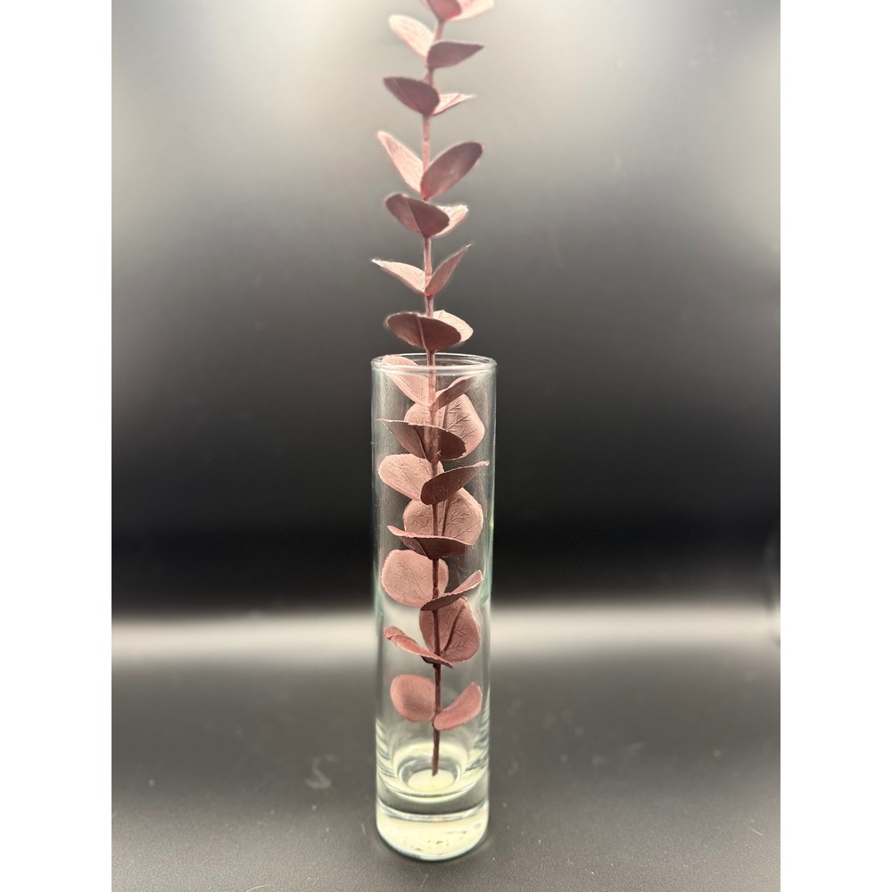 Libbey 2824 Clear Glass Cylinder Bud Vase 7.5 Inch Tall Minimalist Home Decor